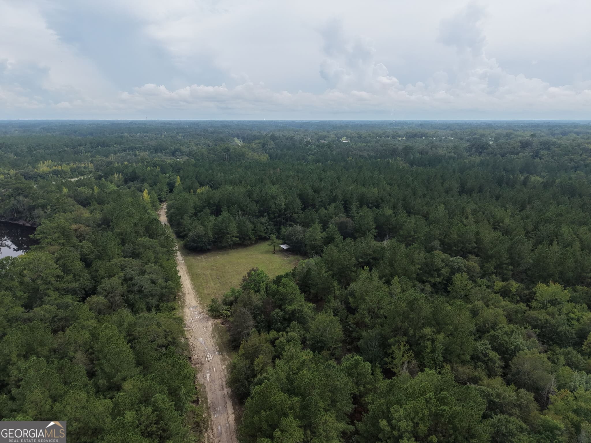 unimproved land for sale at 0 Jamestown Road, Waycross, GA 31503 — photo 4