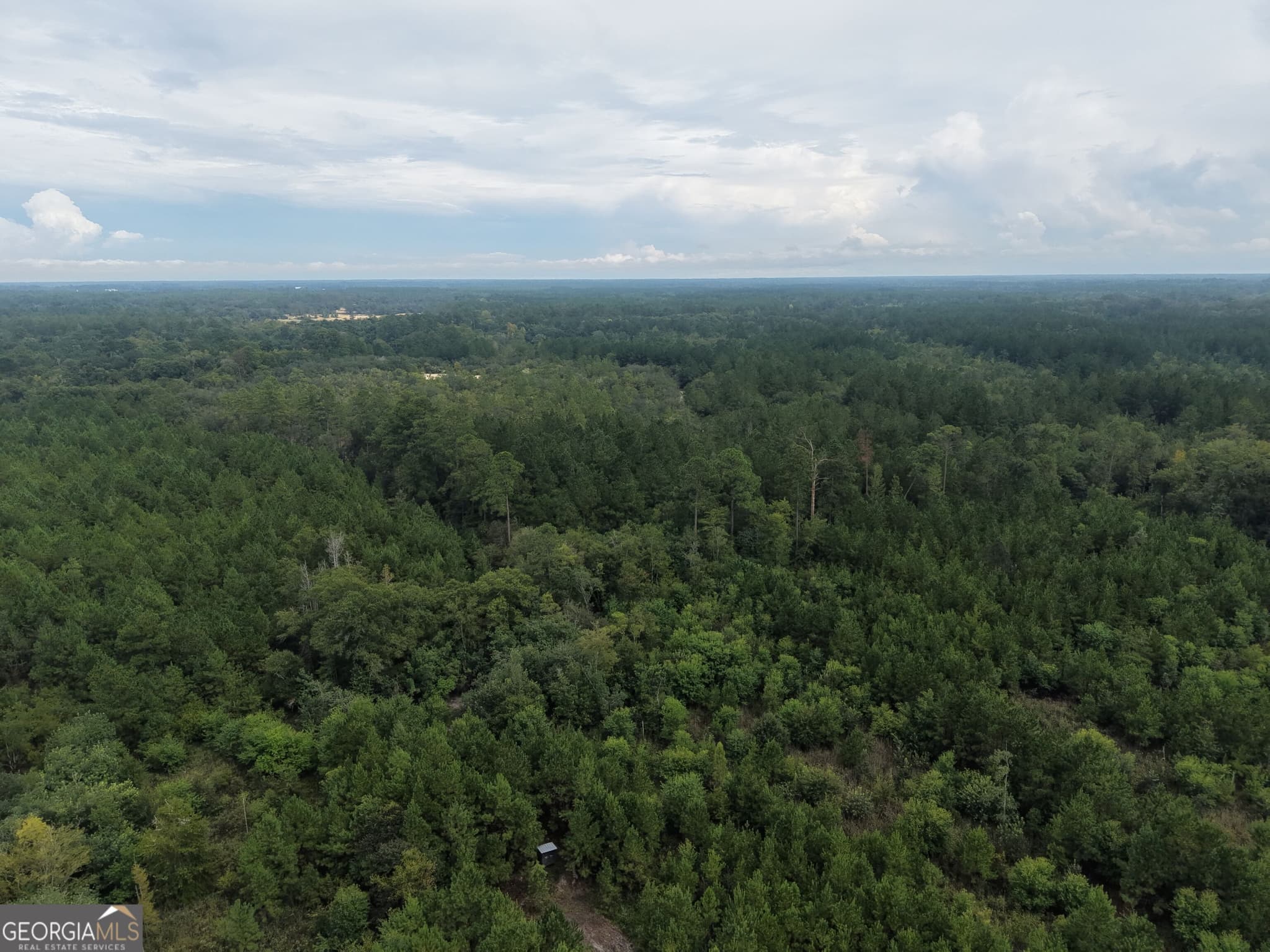 unimproved land for sale at 0 Jamestown Road, Waycross, GA 31503 — photo 8