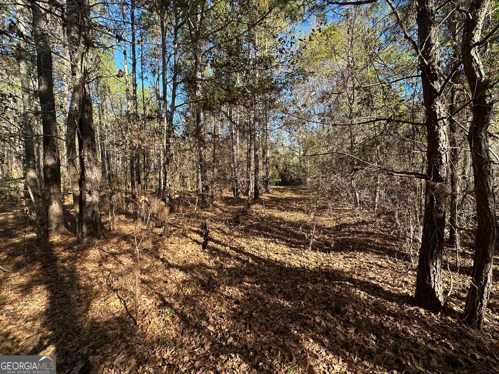 unimproved land for sale at 0 Halcyondale Loop, Sylvania, GA 30467 — photo 6