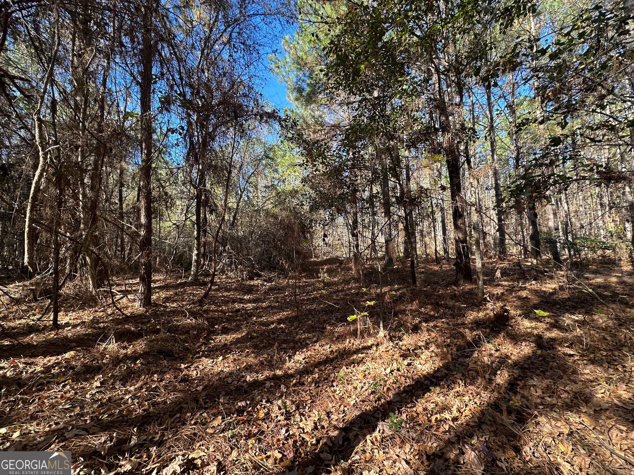 unimproved land for sale at 0 Halcyondale Loop, Sylvania, GA 30467 — photo 7