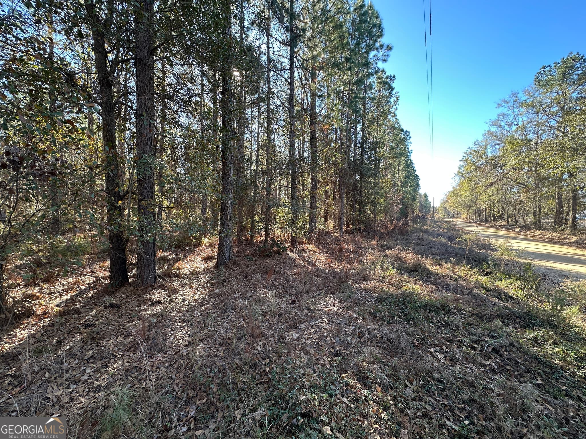 unimproved land for sale at 0 Halcyondale Loop, Sylvania, GA 30467