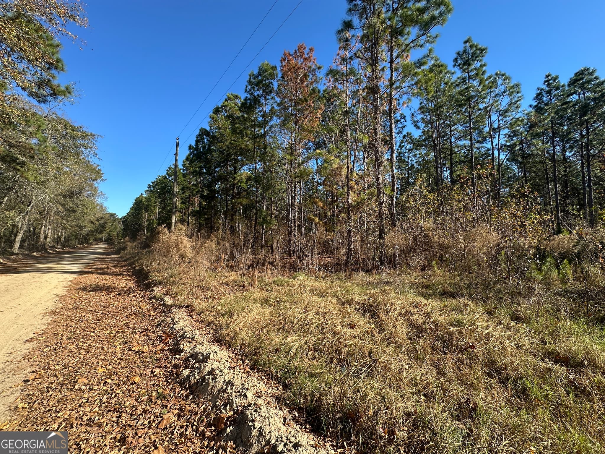 unimproved land for sale at 0 Halcyondale Loop, Sylvania, GA 30467 — photo 5