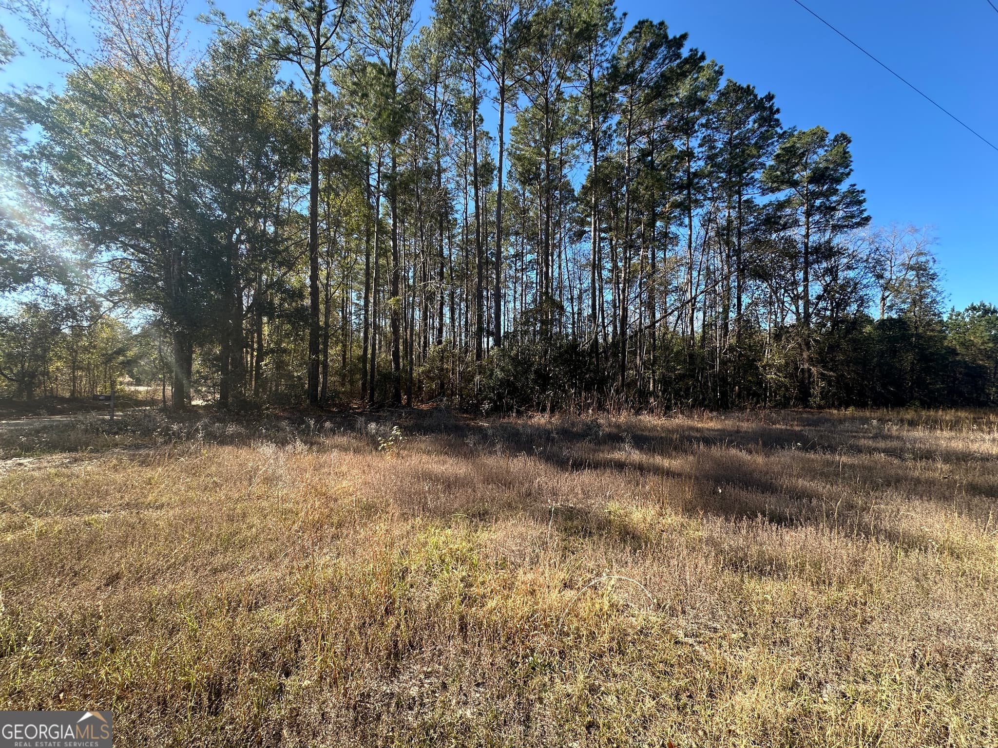 unimproved land for sale at 0 Halcyondale Loop, Sylvania, GA 30467 — photo 9