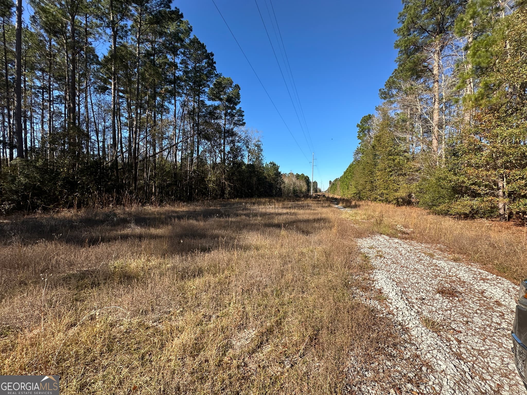 unimproved land for sale at 0 Halcyondale Loop, Sylvania, GA 30467 — photo 10