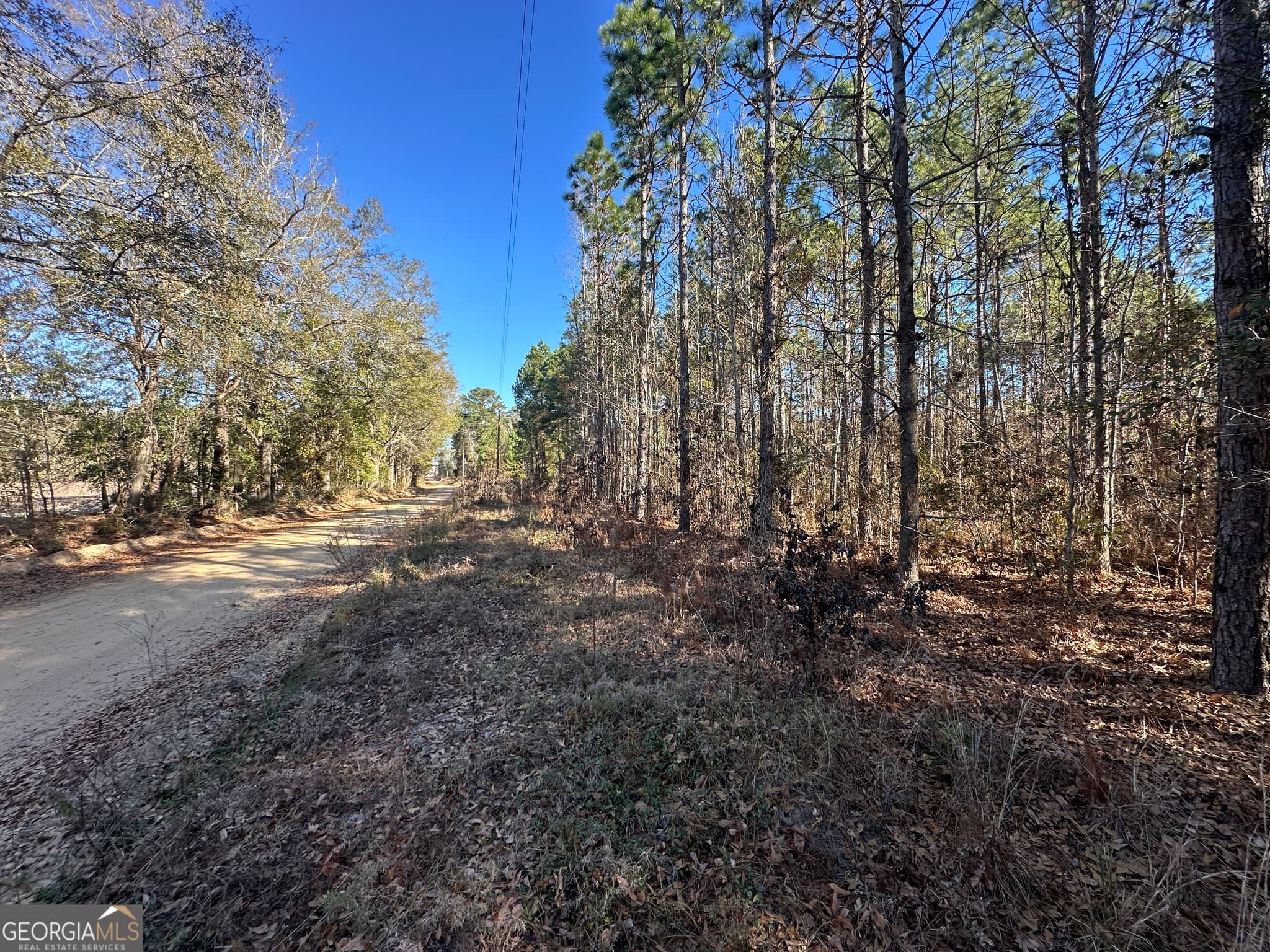 unimproved land for sale at 0 Halcyondale Loop, Sylvania, GA 30467 — photo 4