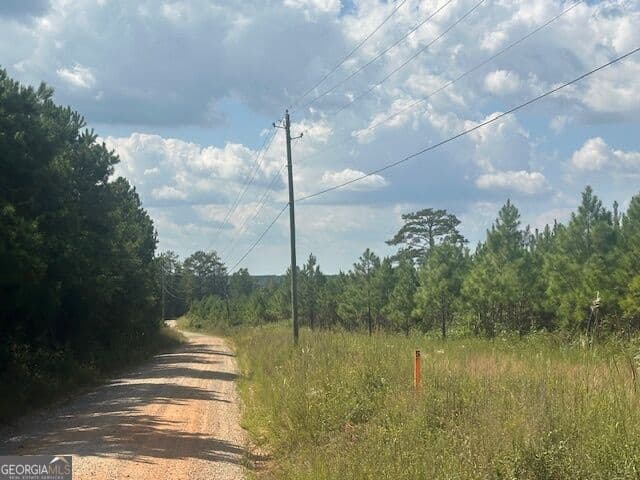 agriculture for sale at 0 Cook Road TRACT #5, Monticello, GA 31064 — photo 2