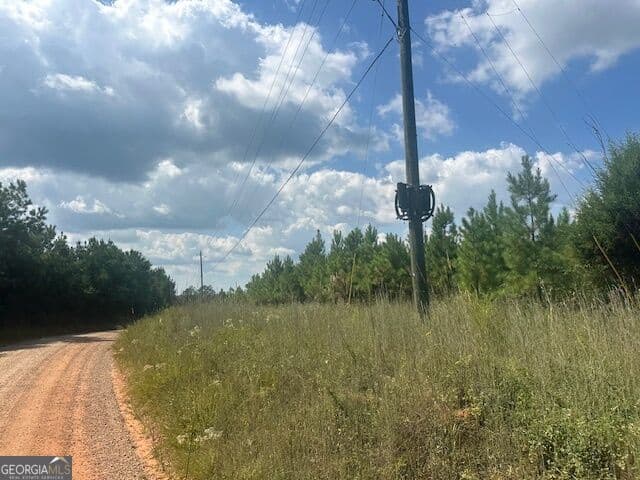 agriculture for sale at 0 Cook Road TRACT #5, Monticello, GA 31064 — photo 3