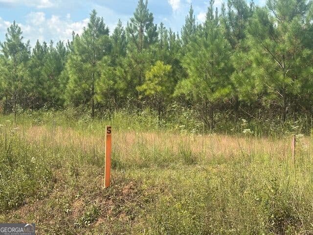 agriculture for sale at 0 Cook Road TRACT #5, Monticello, GA 31064 — photo 1 of 15