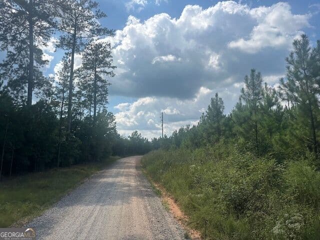 agriculture for sale at 0 Cook Road TRACT #5, Monticello, GA 31064 — photo 5