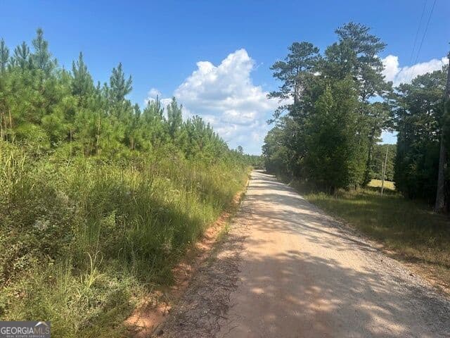 agriculture for sale at 0 Cook Road TRACT #5, Monticello, GA 31064 — photo 4
