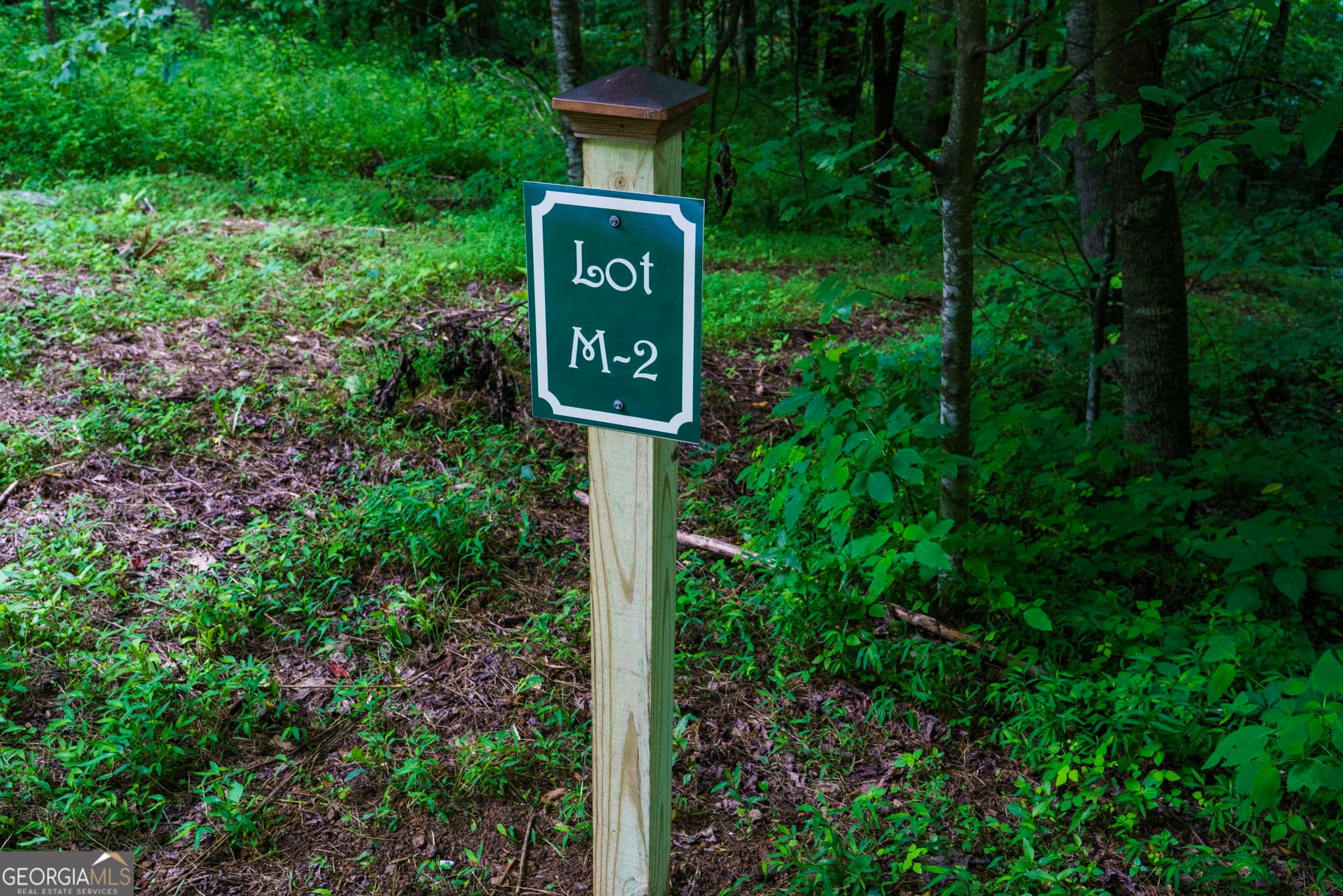 residential lot for sale at LOT M2 Georgianna Lane, Bryson City, NC 28713 — photo 2