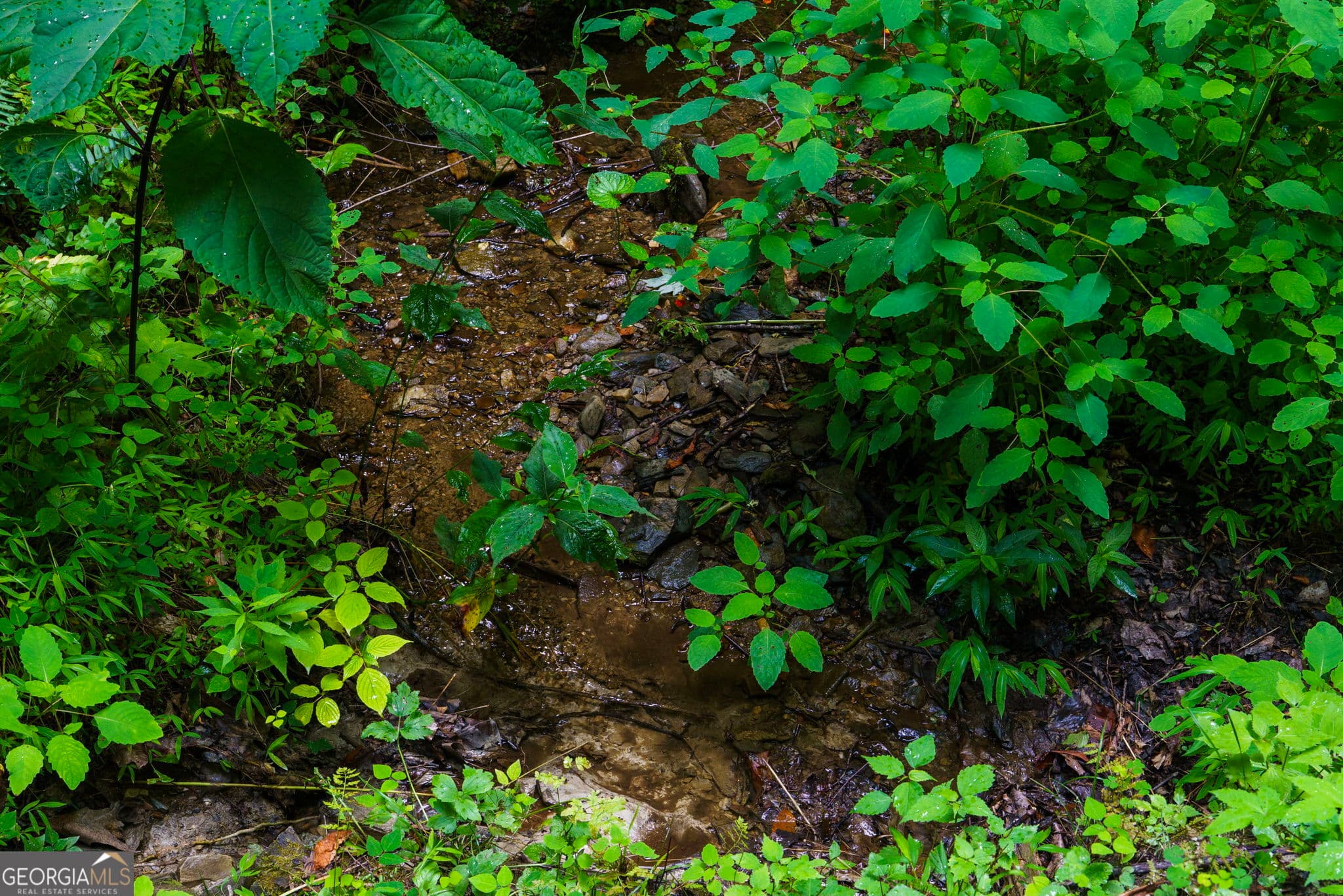 residential lot for sale at LOT M2 Georgianna Lane, Bryson City, NC 28713 — photo 6