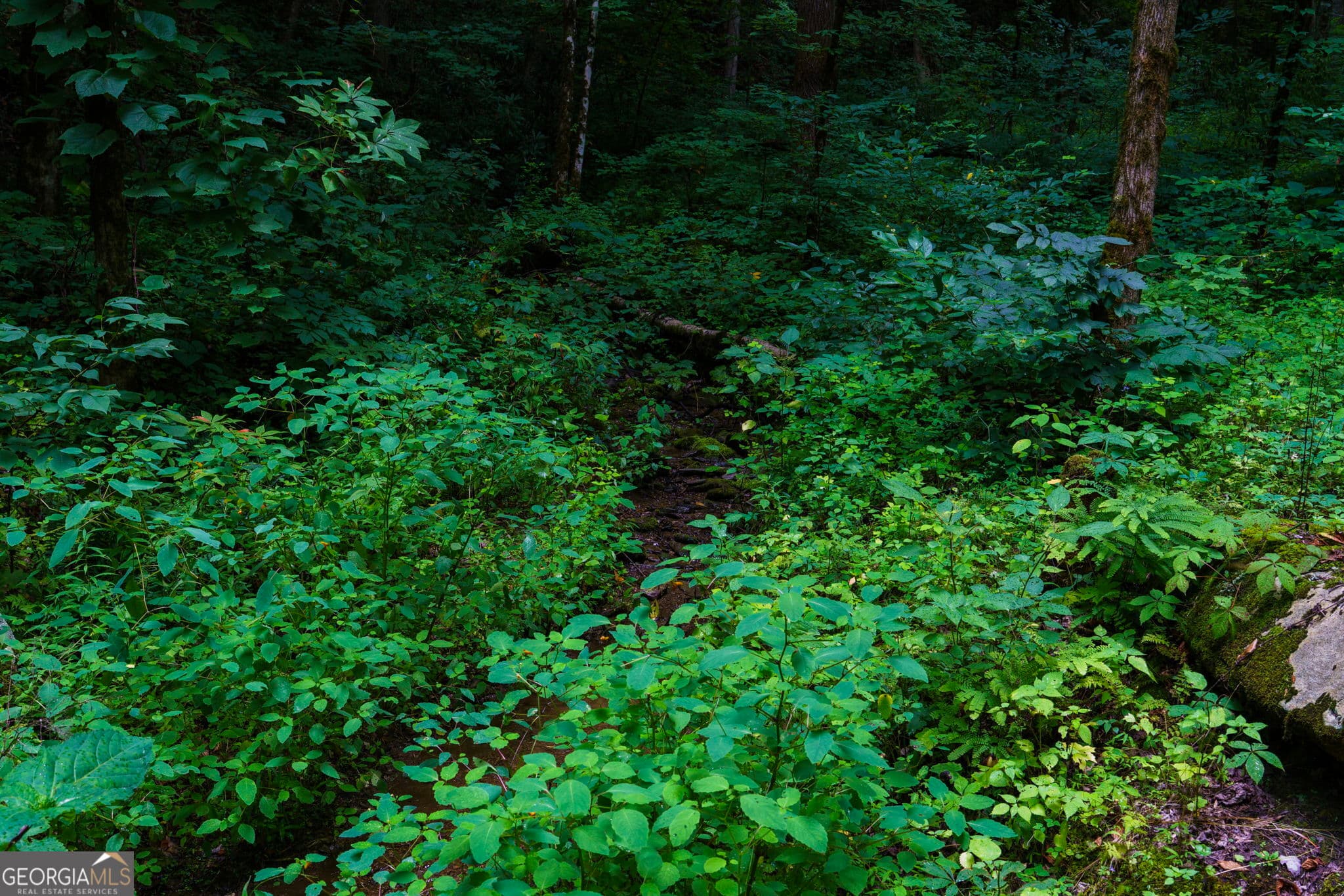 residential lot for sale at LOT M2 Georgianna Lane, Bryson City, NC 28713 — photo 7