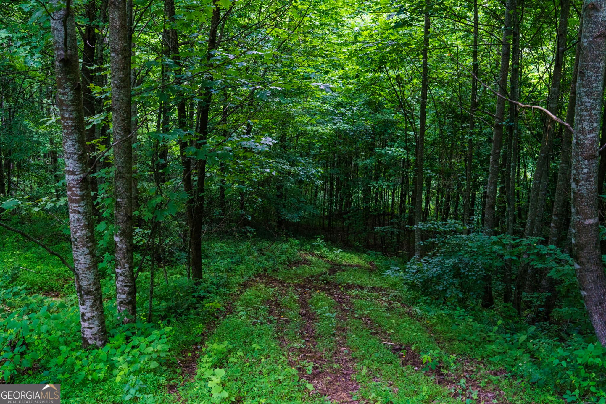residential lot for sale at LOT M2 Georgianna Lane, Bryson City, NC 28713 — photo 5