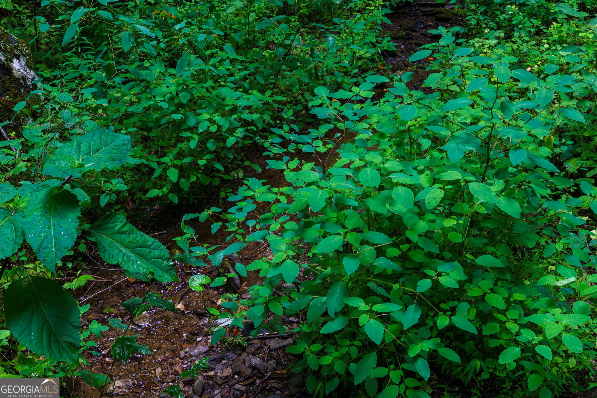 residential lot for sale at LOT M2 Georgianna Lane, Bryson City, NC 28713 — photo 9