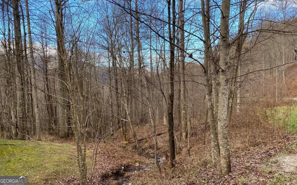 residential lot for sale at LOT M2 Georgianna Lane, Bryson City, NC 28713 — photo 10