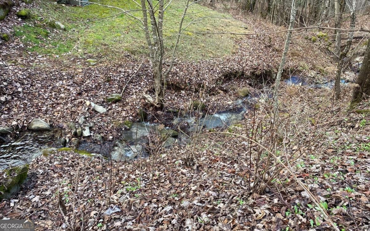 residential lot for sale at LOT M2 Georgianna Lane, Bryson City, NC 28713 — photo 8