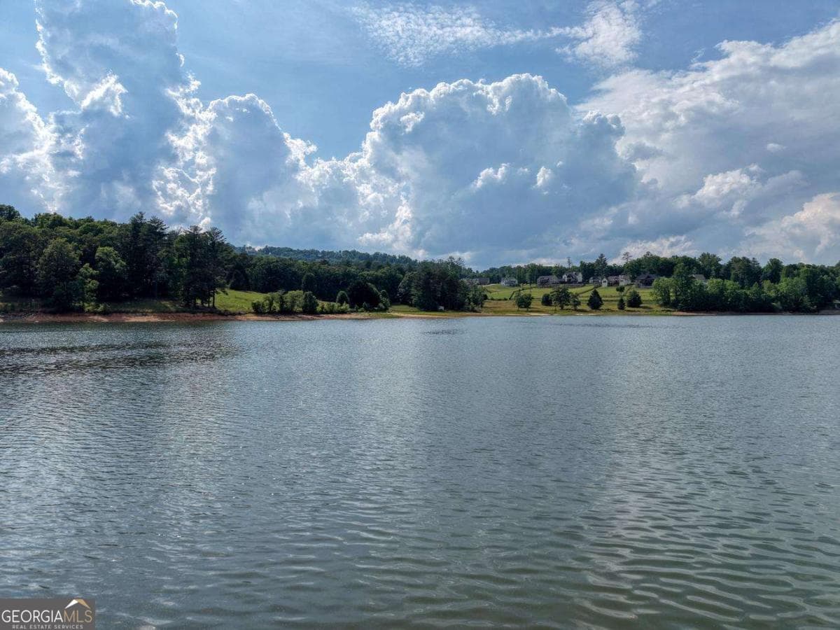 3 bedroom, 2 bathroom, 3,964 sq ft single family residence for sale at 38 Edgewater Lane 10, Blairsville, GA 30512 — photo 9