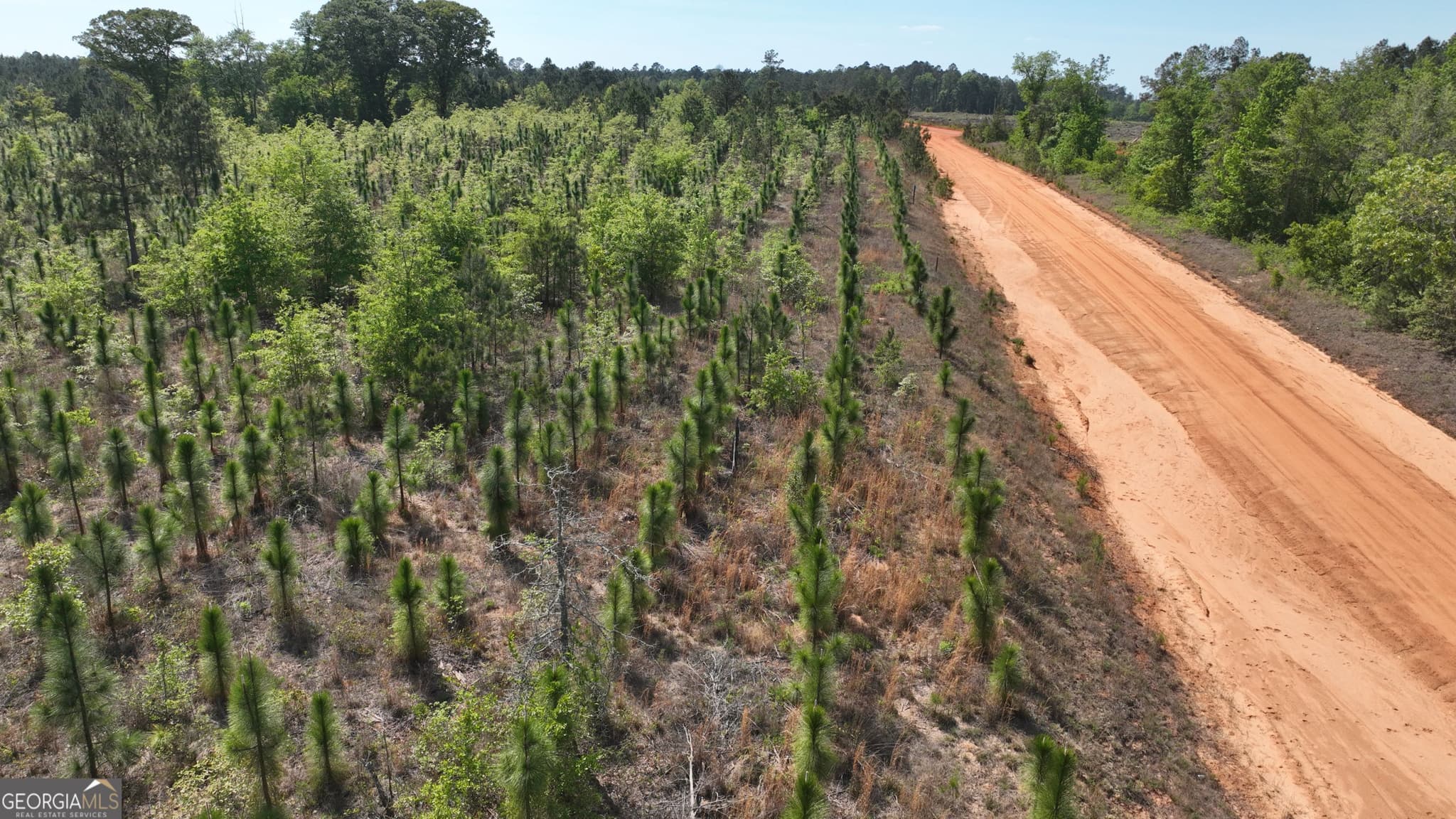 unimproved land for sale at 0 Old Warrenton Road, Wrens, GA 30833 — photo 4