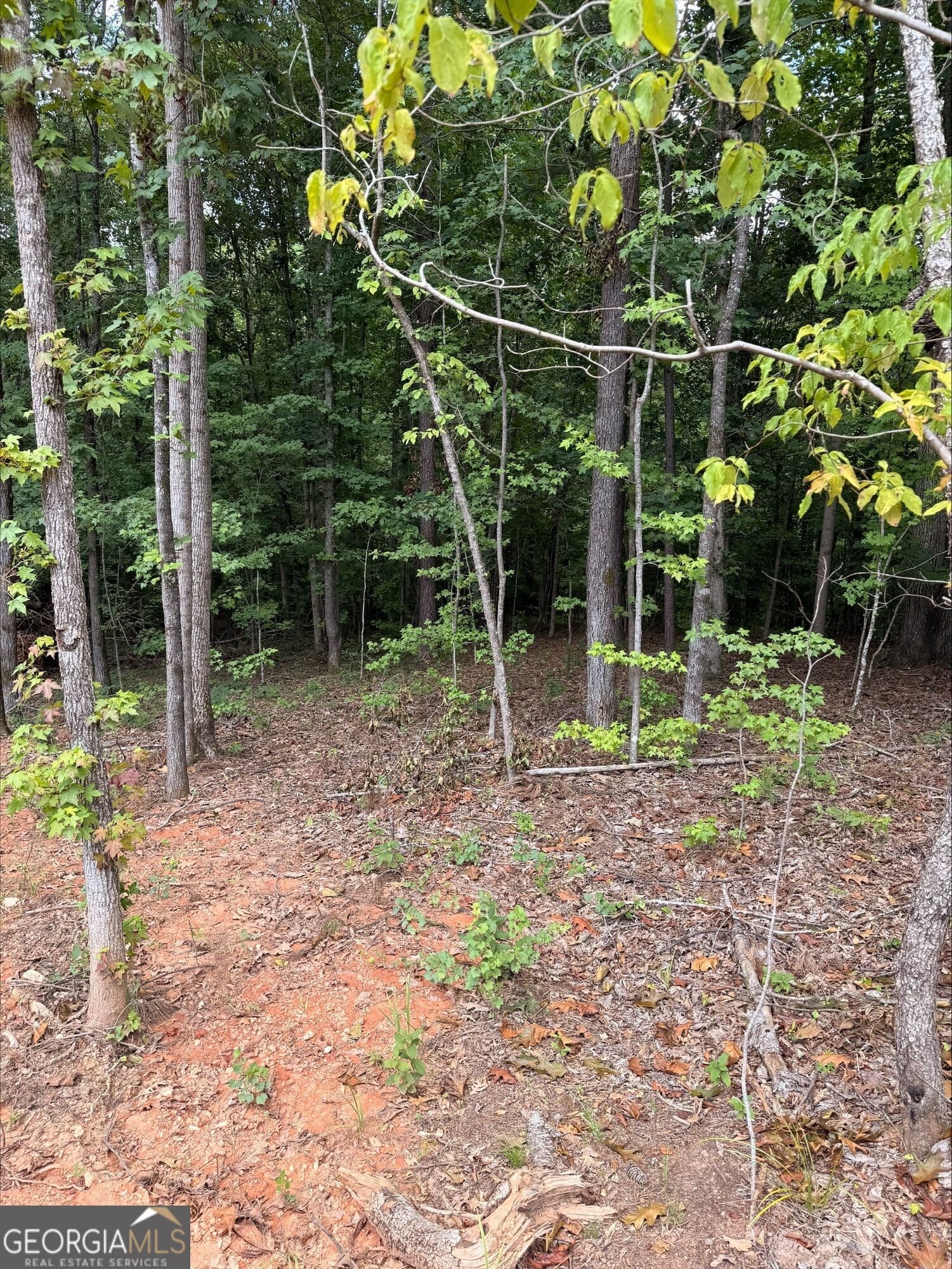 agriculture for sale at 1270 Cunningham Road, Greensboro, GA 30642 — photo 2