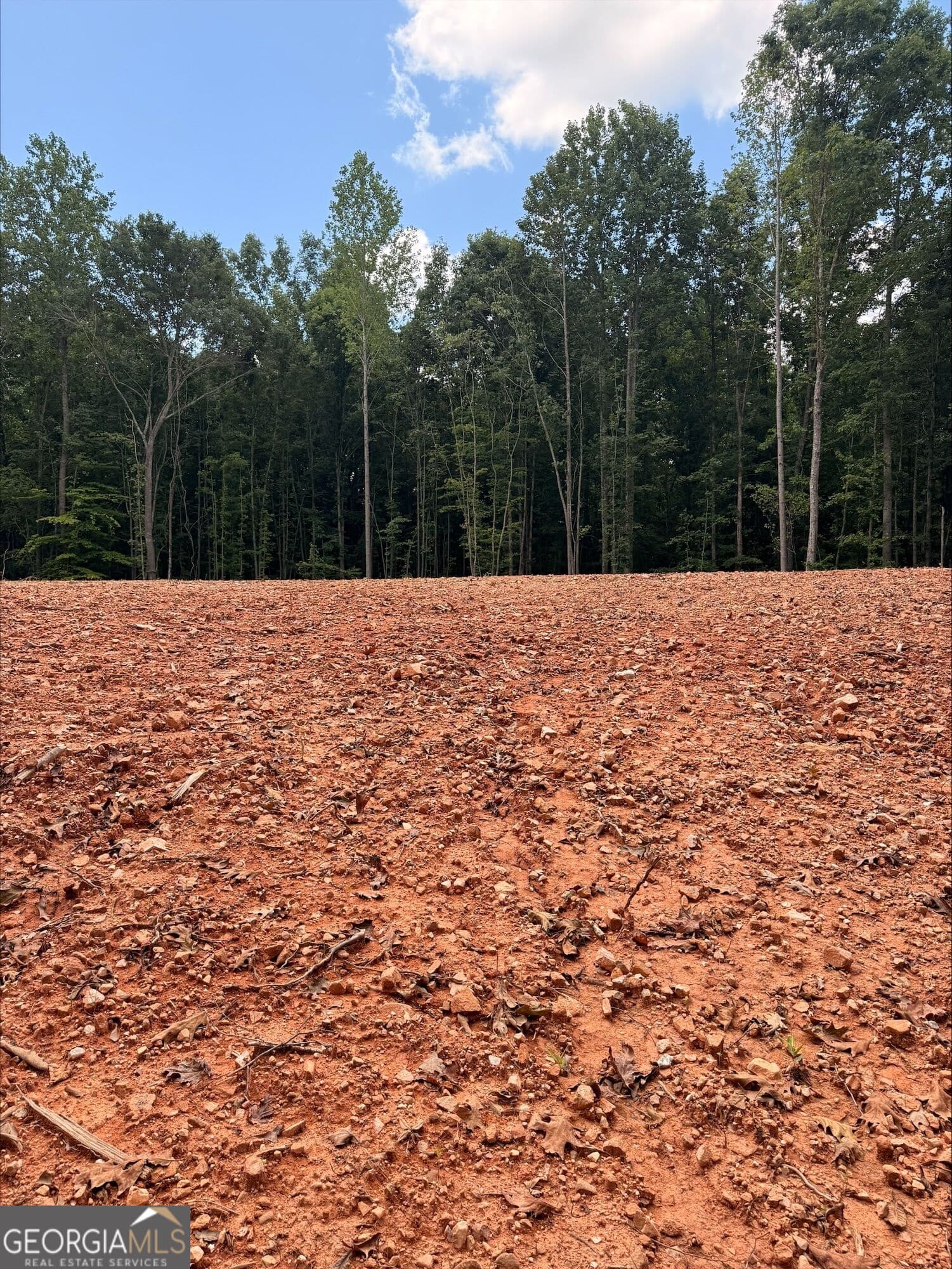 agriculture for sale at 1270 Cunningham Road, Greensboro, GA 30642 — photo 3