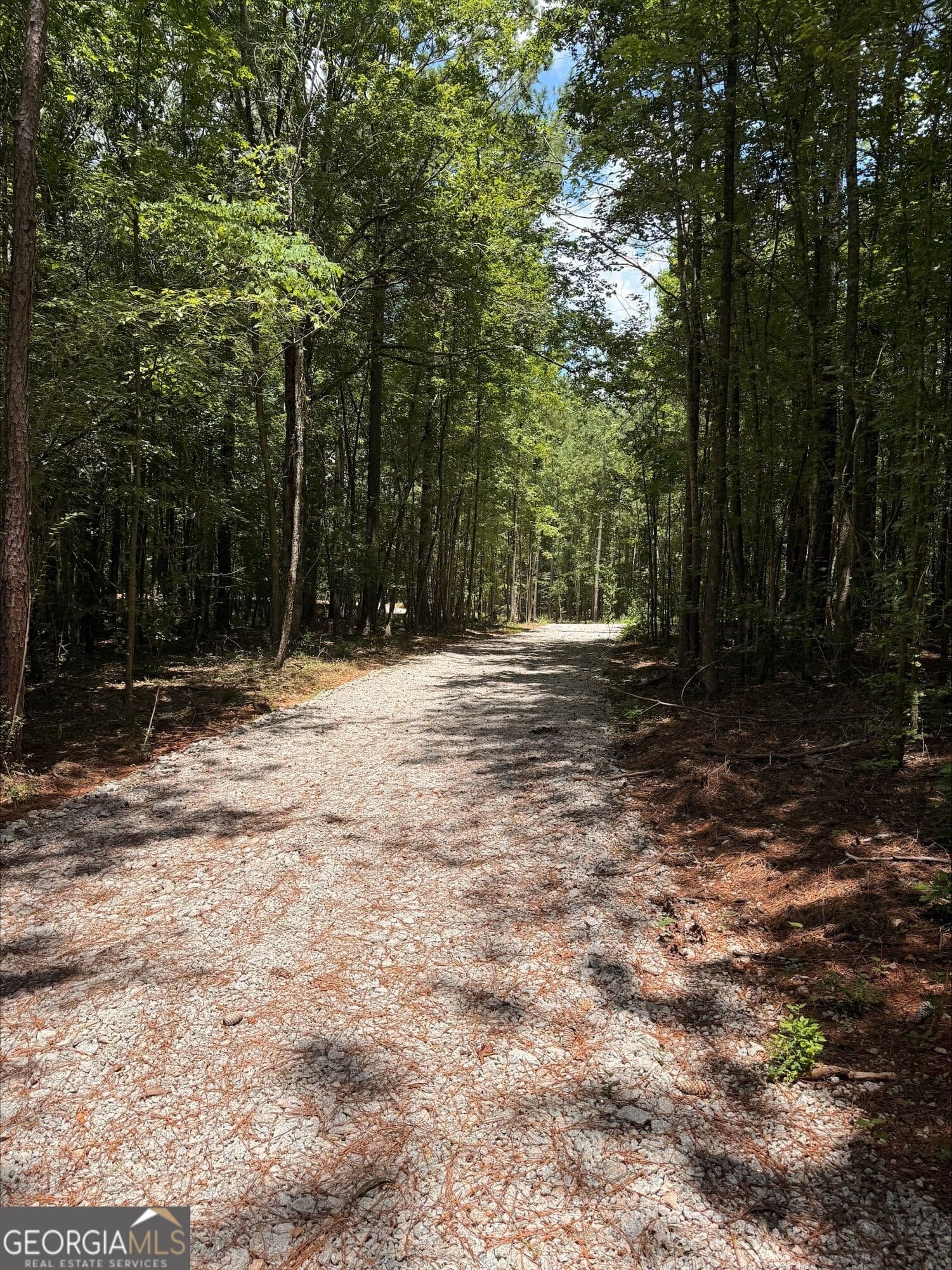 agriculture for sale at 1270 Cunningham Road, Greensboro, GA 30642 — photo 5