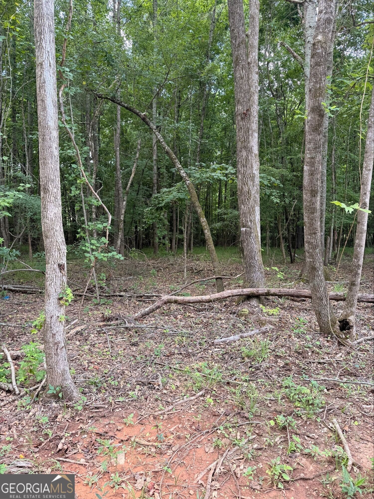 agriculture for sale at 1270 Cunningham Road, Greensboro, GA 30642 — photo 4