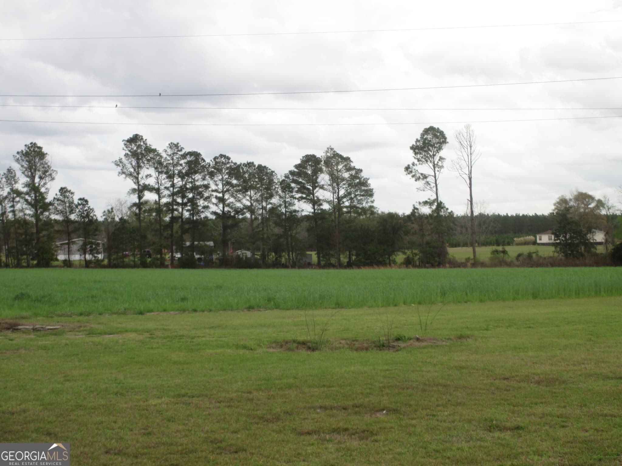 2 bedroom, 2 bathroom, 1,546 sq ft farm for sale at 84 Comer Yawn Road, Hazlehurst, GA 31539 — photo 10