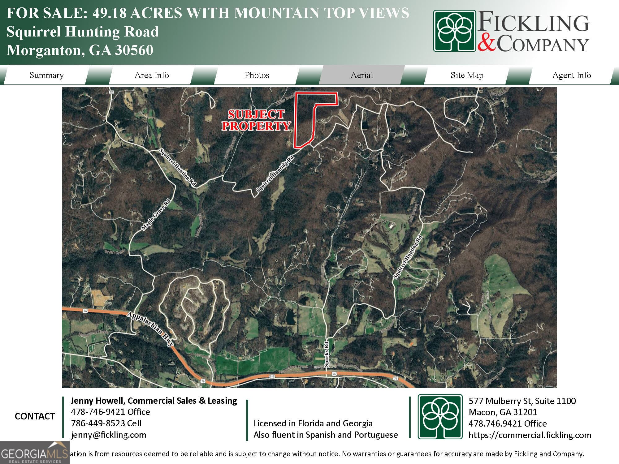 estate lot for sale at 0 Squirrel Hunting Road, Morganton, GA 30560 — photo 3