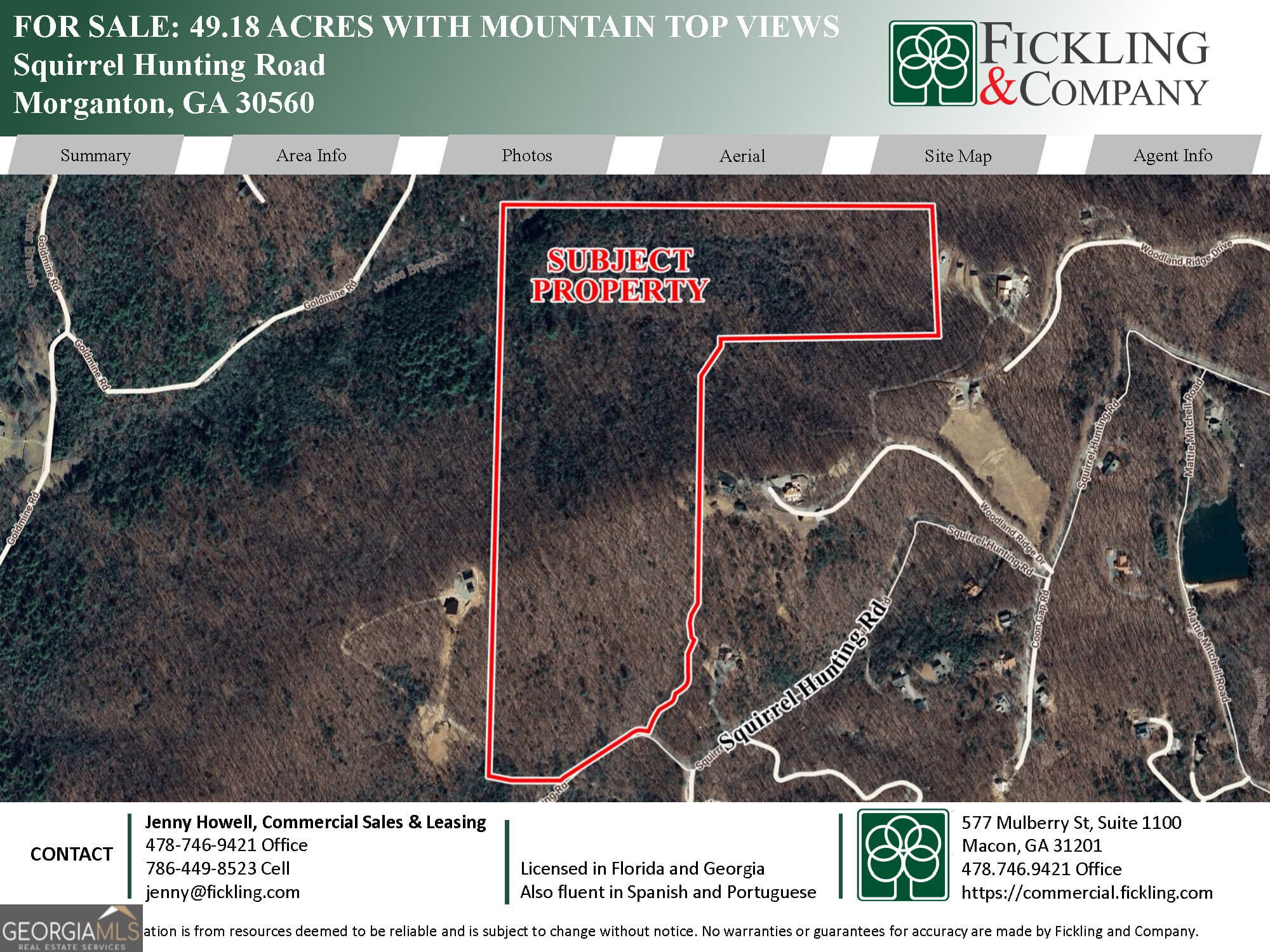 estate lot for sale at 0 Squirrel Hunting Road, Morganton, GA 30560 — photo 1 of 10