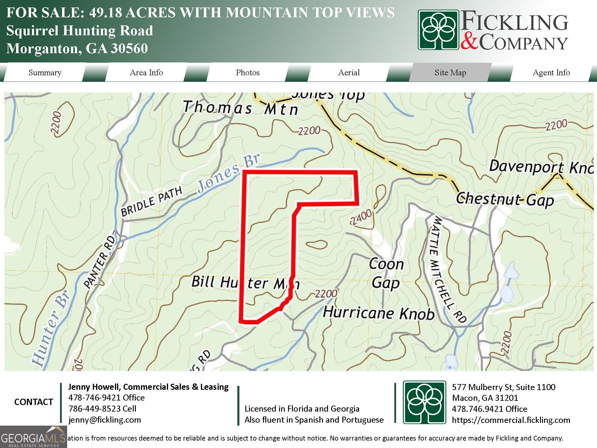 estate lot for sale at 0 Squirrel Hunting Road, Morganton, GA 30560 — photo 10