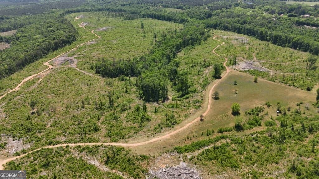 agriculture for sale at 0 Fullerton-Phillips Road, Hillsboro, GA 31038 — photo 2