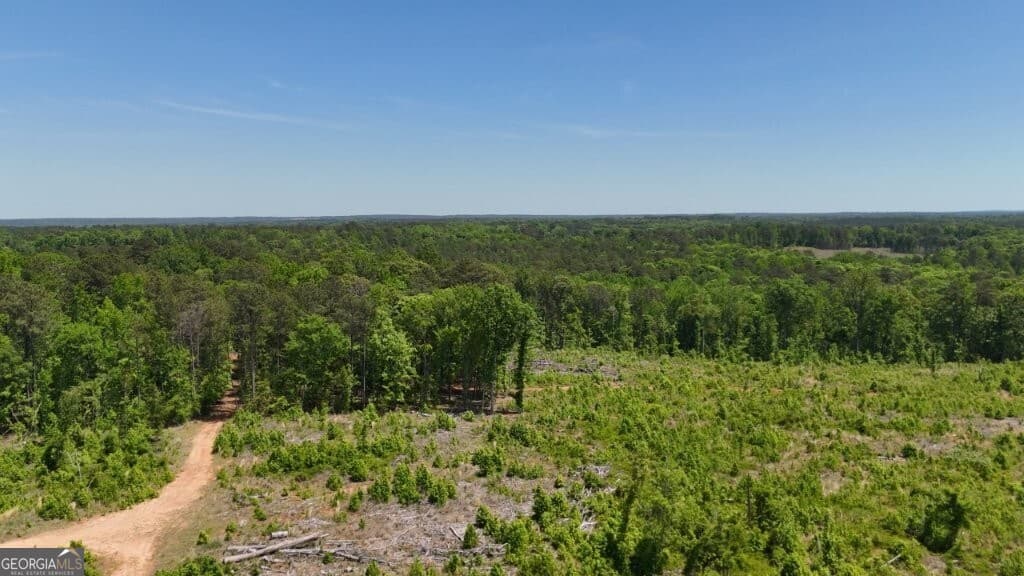 agriculture for sale at 0 Fullerton-Phillips Road, Hillsboro, GA 31038 — photo 6