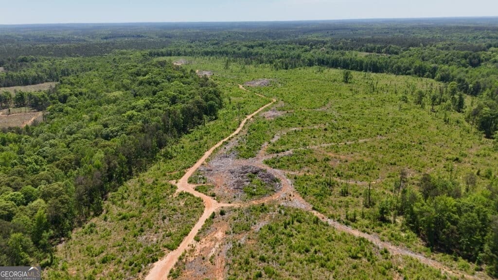 agriculture for sale at 0 Fullerton-Phillips Road, Hillsboro, GA 31038 — photo 3