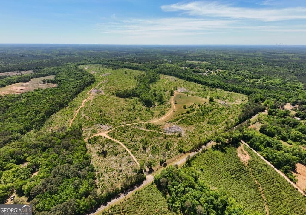 agriculture for sale at 0 Fullerton-Phillips Road, Hillsboro, GA 31038