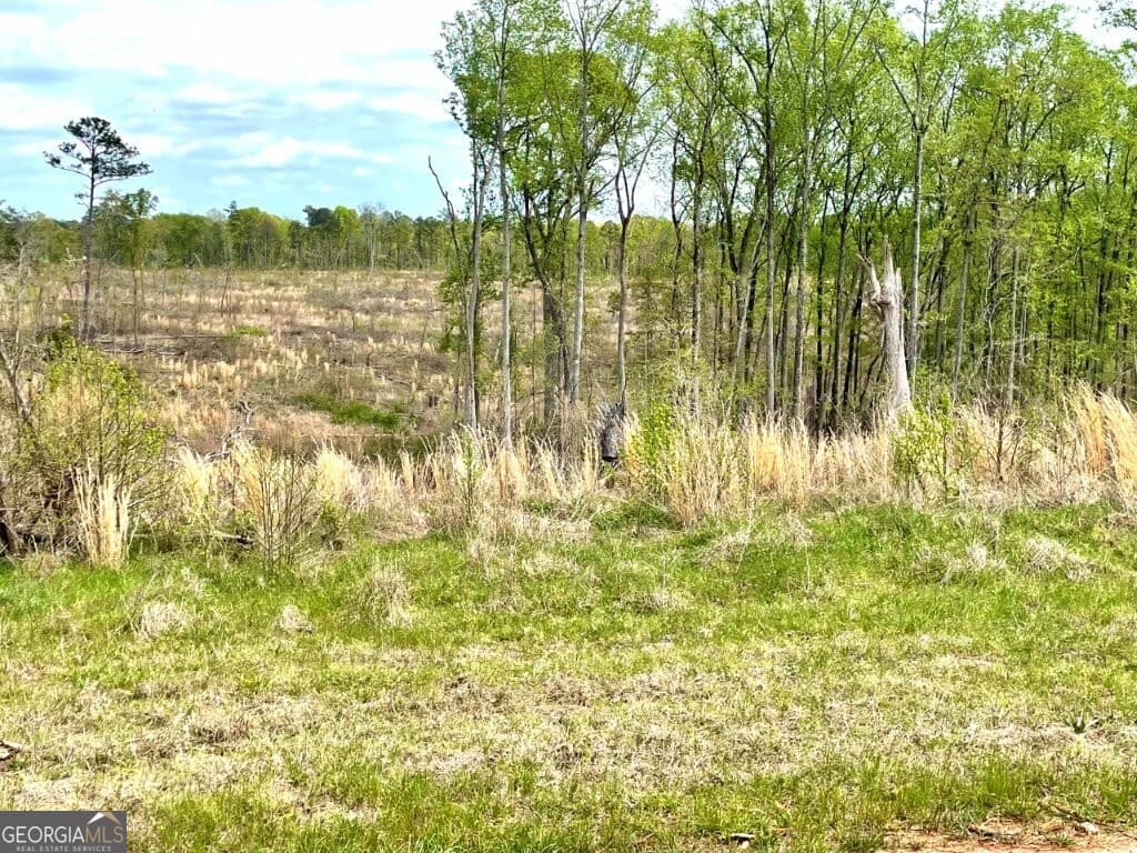 agriculture for sale at 0 Fullerton-Phillips Road, Hillsboro, GA 31038 — photo 4