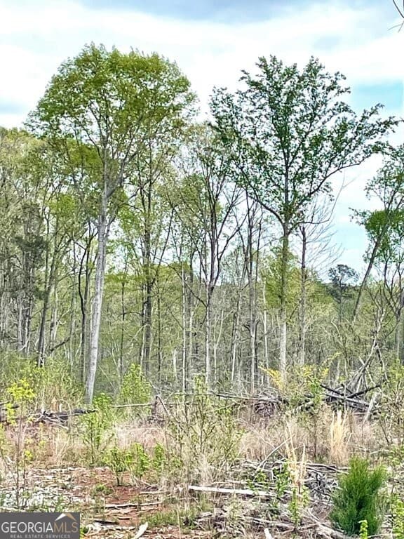 agriculture for sale at 0 Fullerton-Phillips Road, Hillsboro, GA 31038 — photo 8