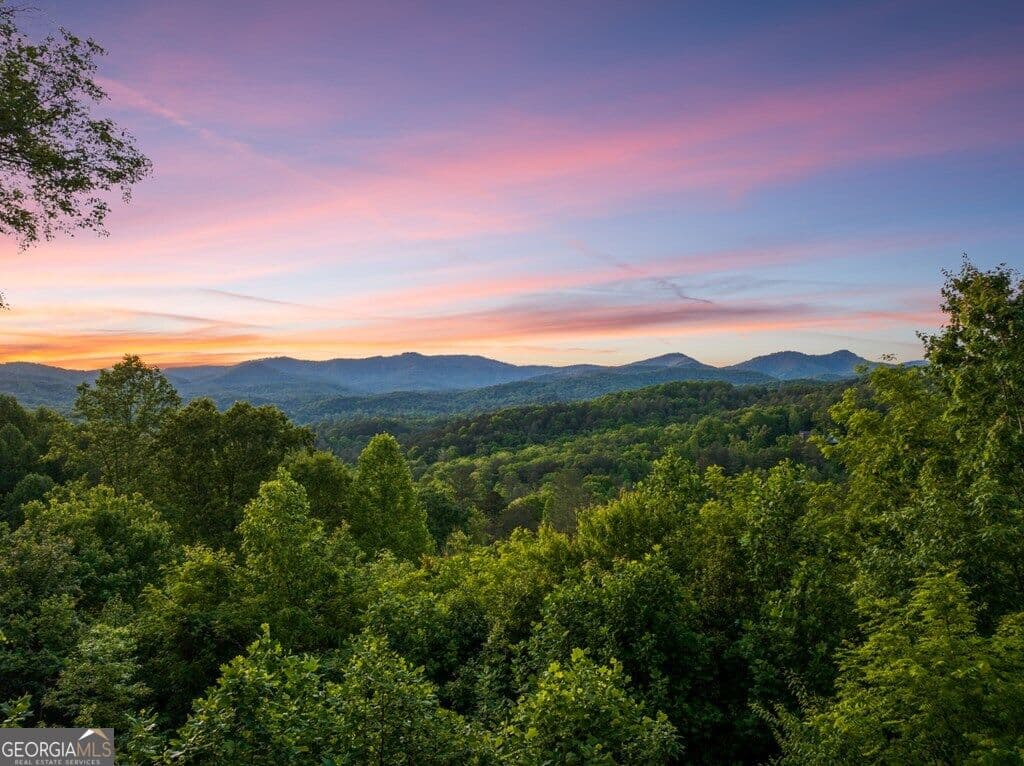 3 bedroom, 3 bathroom, 3,036 sq ft cabin,single family residence for sale at 115 Mountain High Drive, Mineral Bluff, GA 30559 — photo 7