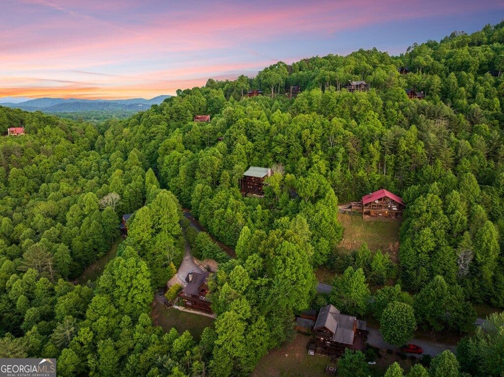 3 bedroom, 3 bathroom, 3,036 sq ft cabin,single family residence for sale at 115 Mountain High Drive, Mineral Bluff, GA 30559 — photo 8
