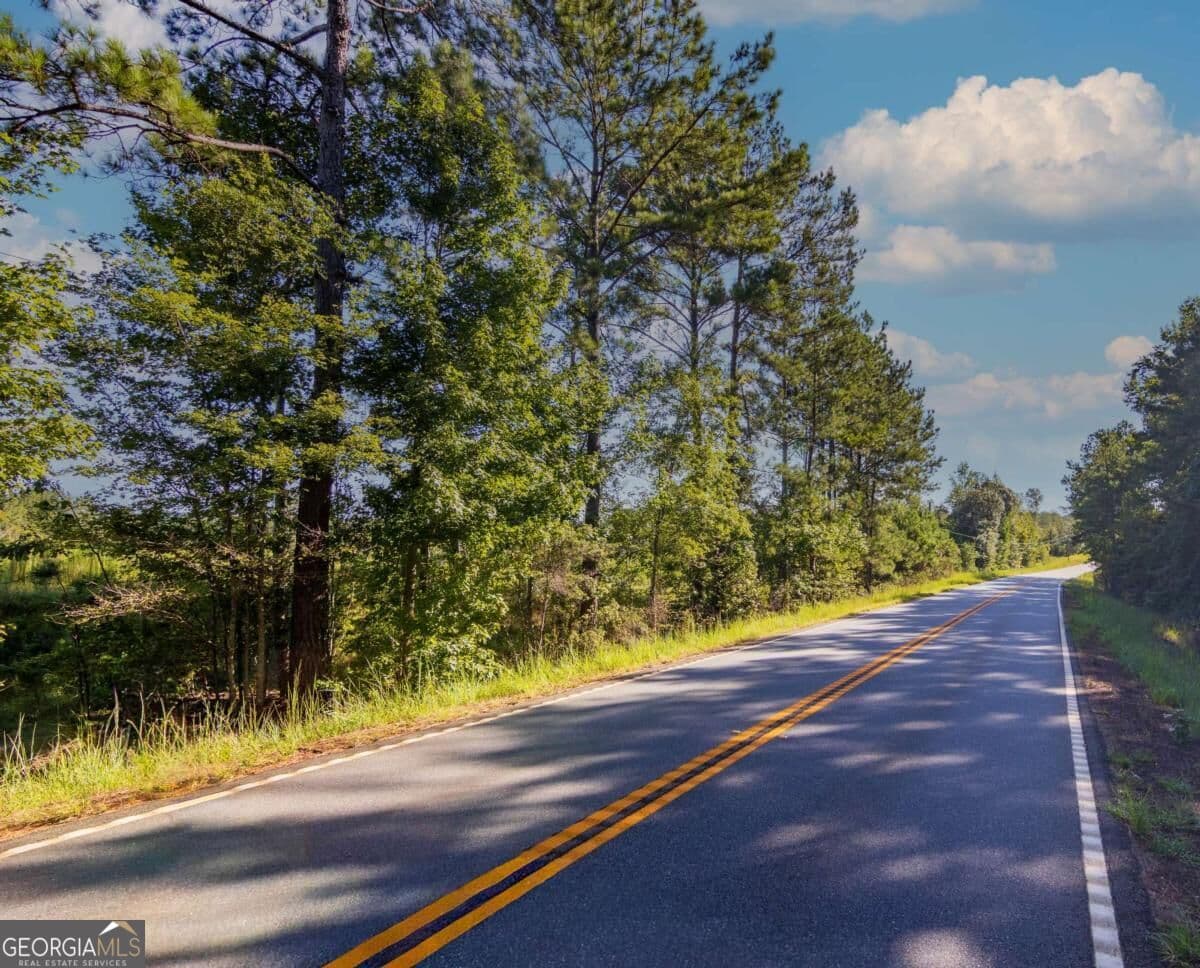 unimproved land for sale at TRACT 4 Highway 0036, Woodland, GA 31836 — photo 2