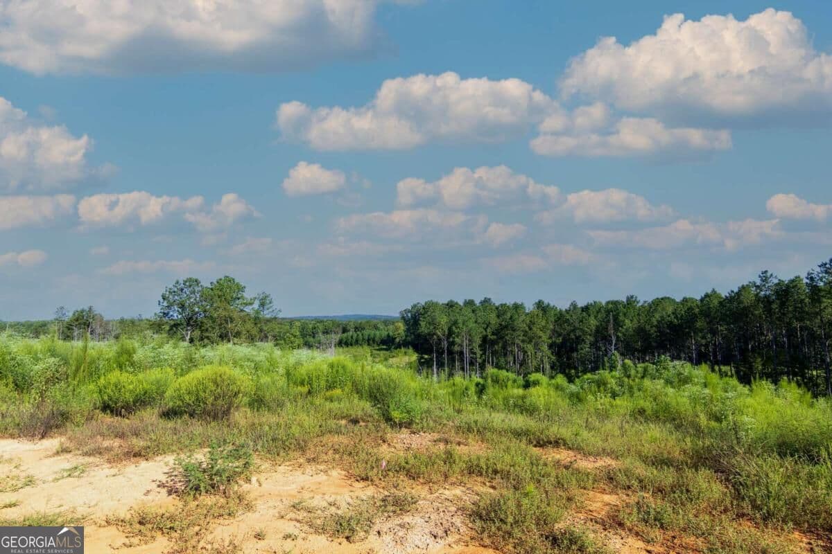 unimproved land for sale at TRACT 4 Highway 0036, Woodland, GA 31836 — photo 6