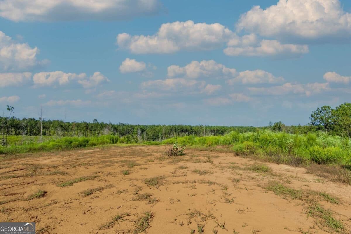 unimproved land for sale at TRACT 4 Highway 0036, Woodland, GA 31836 — photo 7
