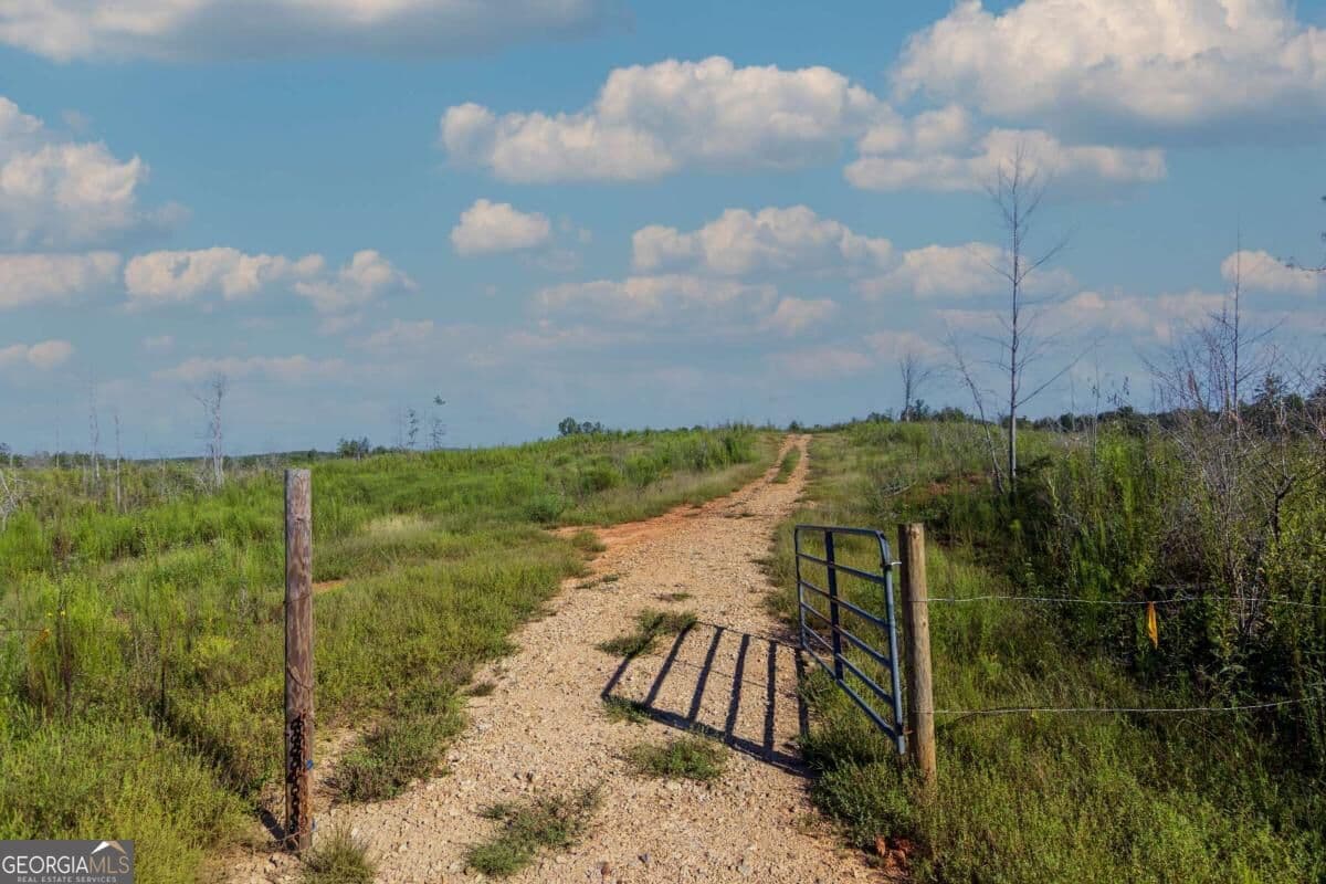unimproved land for sale at TRACT 4 Highway 0036, Woodland, GA 31836 — photo 3