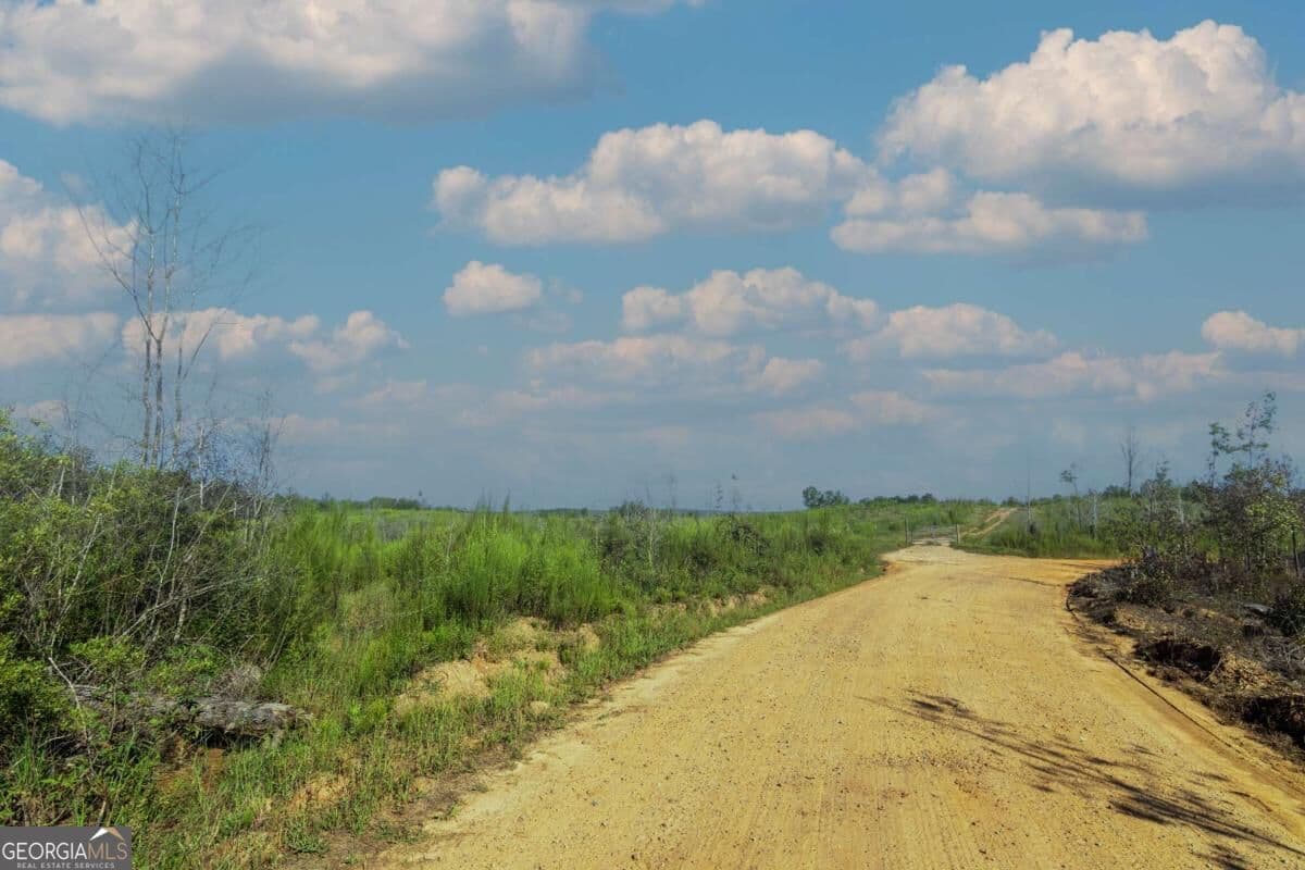 unimproved land for sale at TRACT 4 Highway 0036, Woodland, GA 31836 — photo 1 of 24