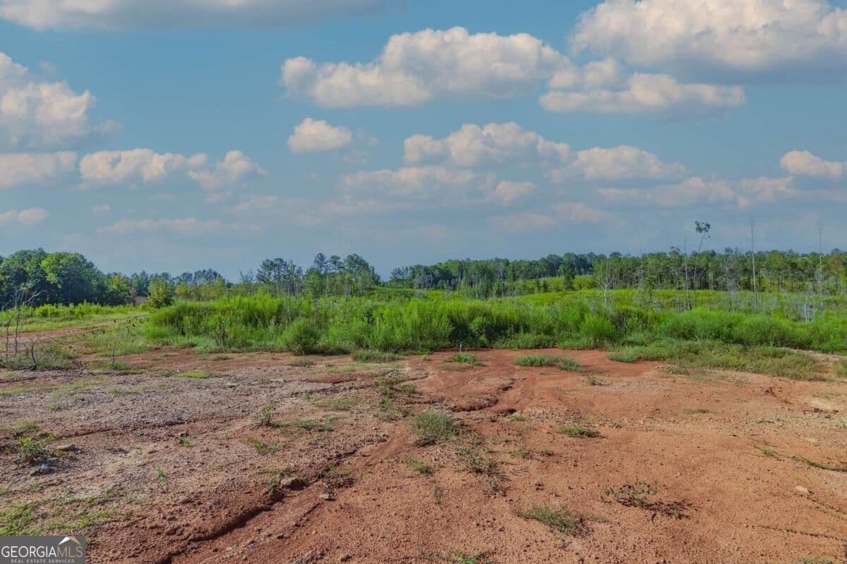 unimproved land for sale at TRACT 4 Highway 0036, Woodland, GA 31836 — photo 5