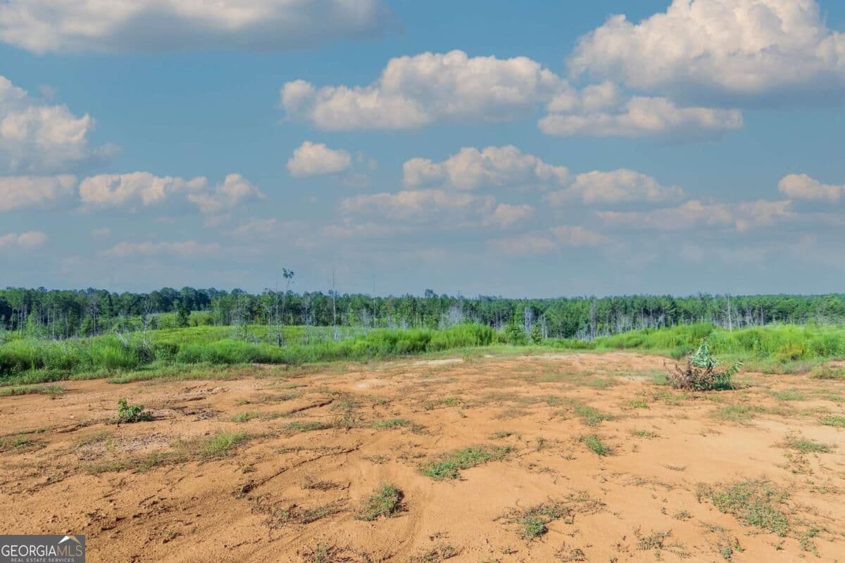 unimproved land for sale at TRACT 4 Highway 0036, Woodland, GA 31836 — photo 4