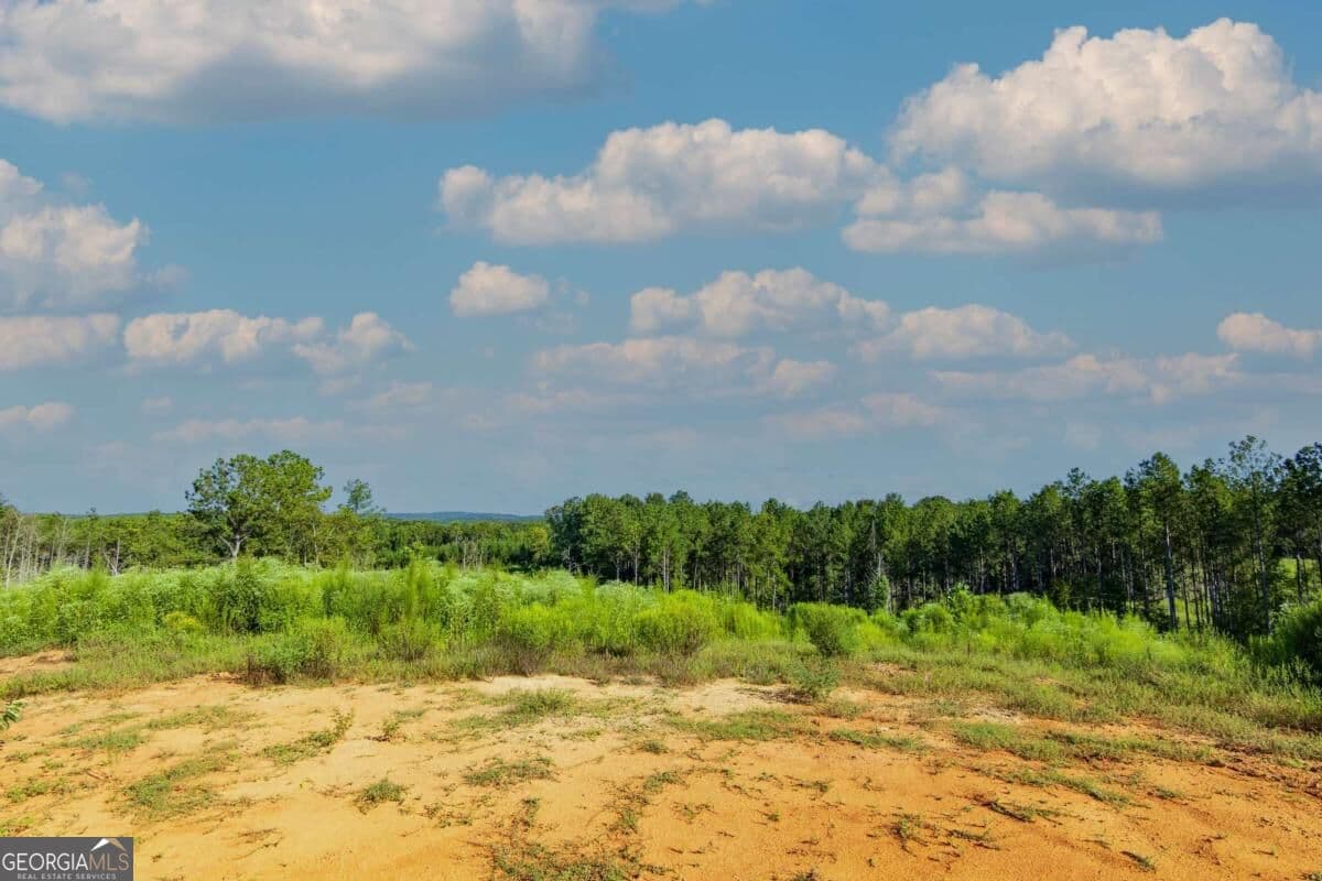 unimproved land for sale at TRACT 4 Highway 0036, Woodland, GA 31836 — photo 8