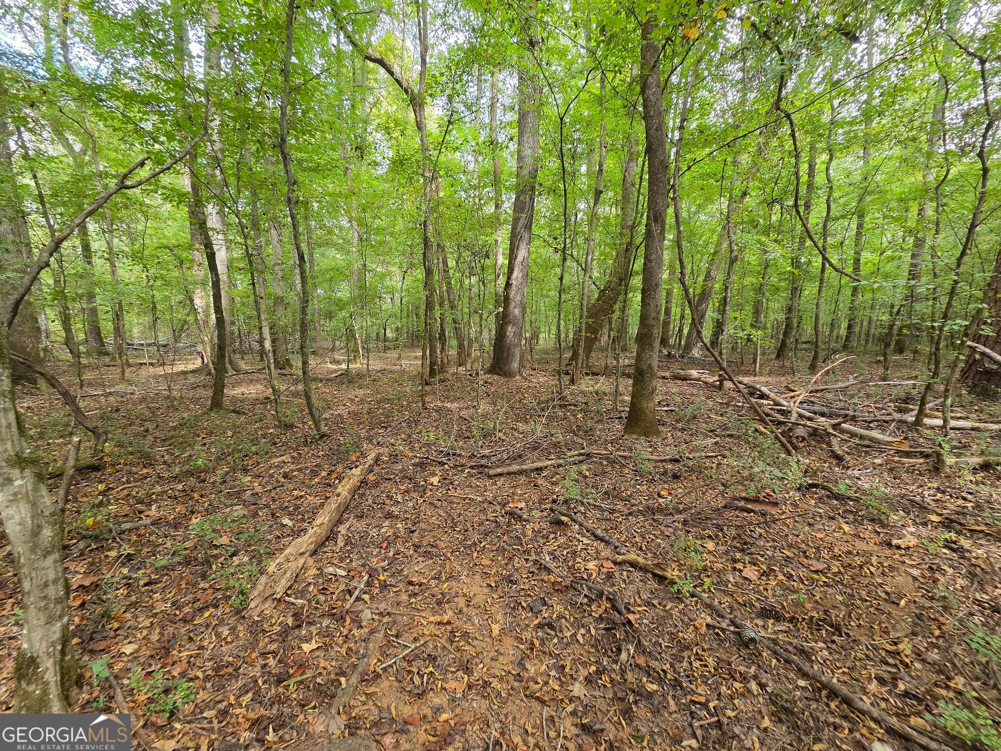 agriculture for sale at 0 Wadley Street, Greenville, GA 30222 — photo 9