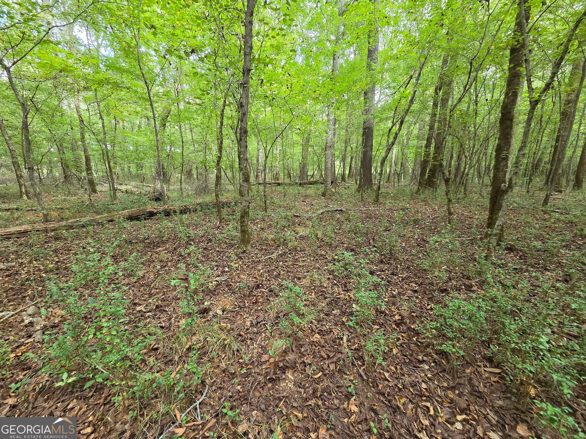 agriculture for sale at 0 Wadley Street, Greenville, GA 30222 — photo 10