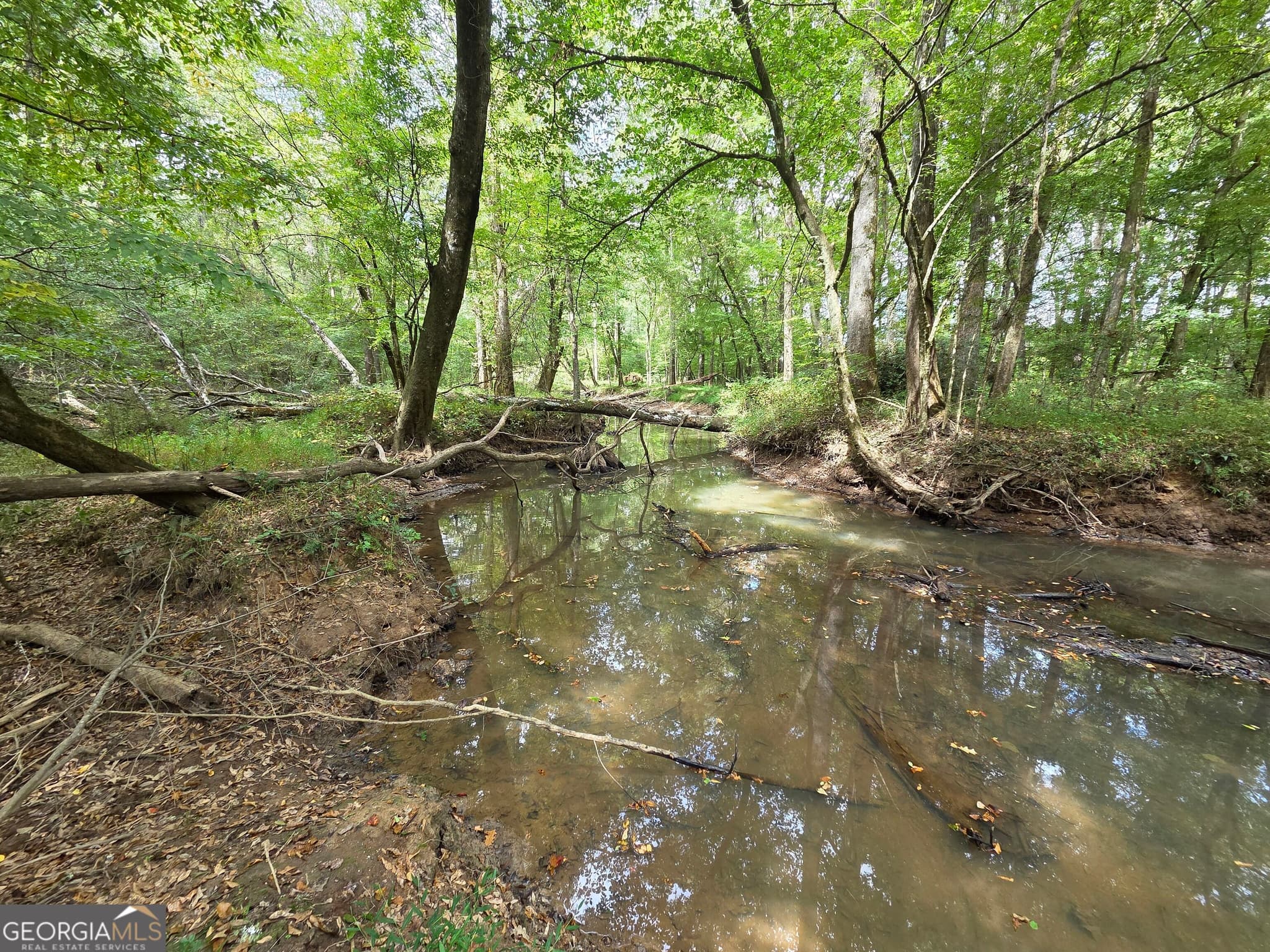 agriculture for sale at 0 Wadley Street, Greenville, GA 30222 — photo 4